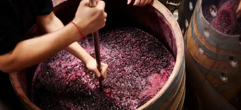 How to make wine at home 