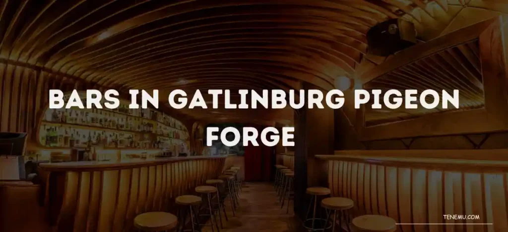 Bars In Gatlinburg Pigeon Forge