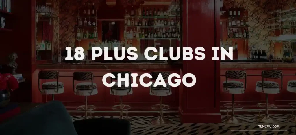 18 Plus Clubs In Chicago